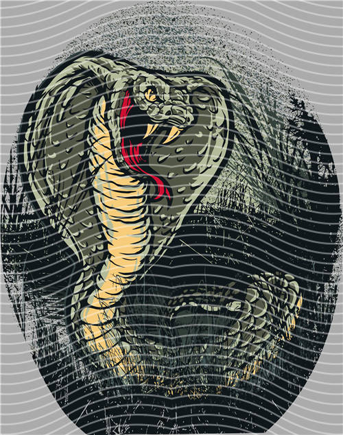 Street design-JT 4083